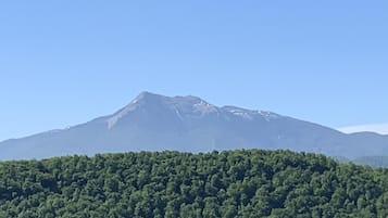 Una montagna con una vegetazione folta in primo piano e un cielo sereno.