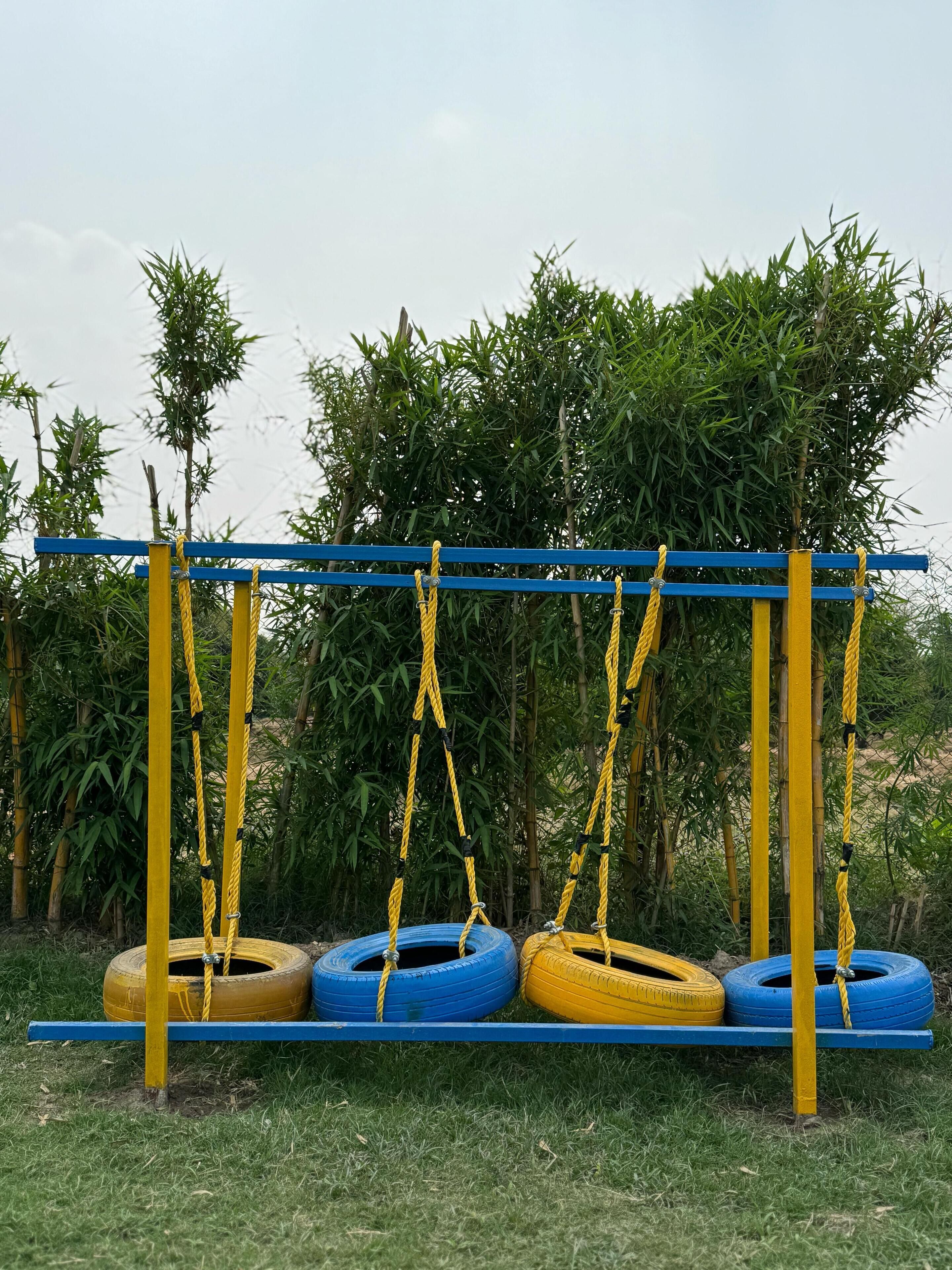 A playground with a tire swing set.