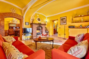 TV, fireplace, DVD player, books