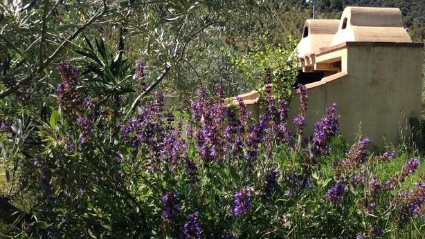A building with a simple, rustic design, surrounded by lush greenery and purple flowers. - Armandiola 3 apartment (Cardedu)