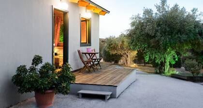 Kodikas studio Olive Grovessa