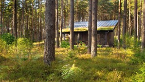 A cabin in a forest with a metal roof and wooden walls. - Rabarberi LV #R2-Unique views at SeaSide Village (Saulkrasti)