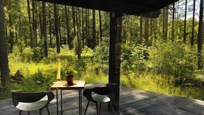 An outdoor wooden deck with a table and chairs, surrounded by dense forest. - Rabarberi LV #R2-Unique views at SeaSide Village (Saulkrasti)