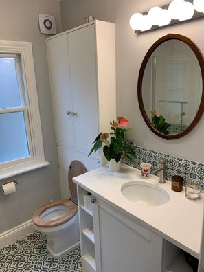 Combined shower/bathtub, hair dryer, towels