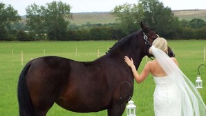 Zona para bodas al aire libre