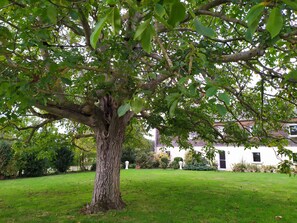Garden - La Halte aux Oiseaux (Brissac Loire Aubance)