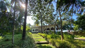 A house with a garden pathway leading to it, surrounded by lush greenery and palm trees.