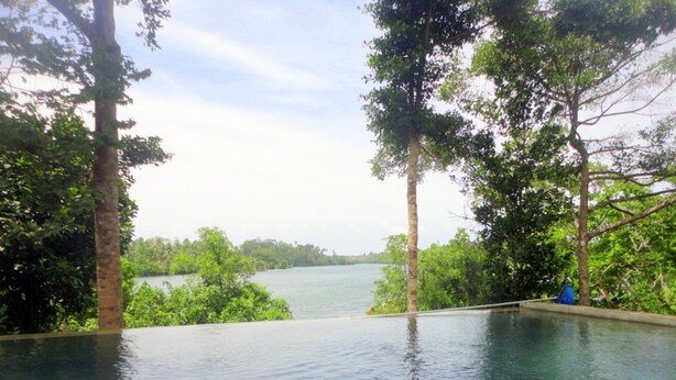An infinity pool with a view of a lake surrounded by trees.
