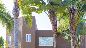Un edificio moderno con fachada de estuco, amplias ventanas y un jardín cuidado con diversas plantas y rocas.