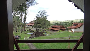 Vista desde una ventana con vista a un patio con edificios, árboles y una colina al fondo.