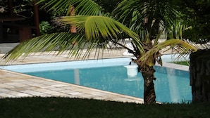 Una piscina con una palmera al frente.