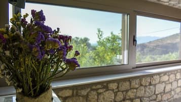 Studio | Ausblick vom Zimmer