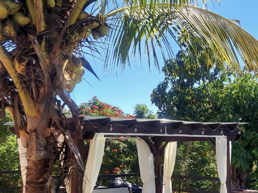 Terraço/pátio