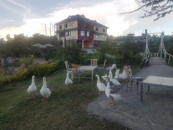 Exterior - Macha Beach Resort (Machakos)