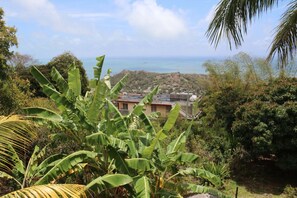 Beach/ocean view