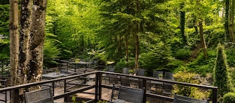 Ioana Hotels