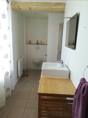 Quadruple Room (La Boutonne) | Bathroom | Shower, hair dryer, towels, soap