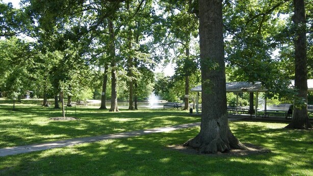 A park with a large tree, picnic tables, and a gazebo.