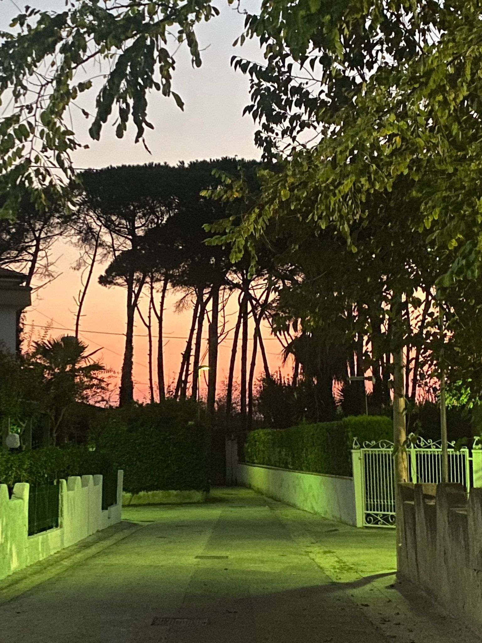 Enceinte de l’hébergement