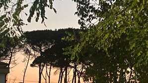 A gated driveway leading to a building with a view of trees and a sunset.
