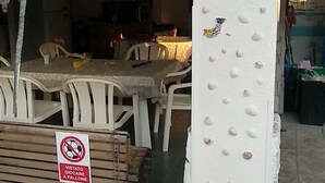 A restaurant with white walls decorated with seashells, a no soccer sign, and a table with chairs.