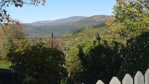 A rural landscape with a white picket fence, dense greenery, and distant hills. - Borthwen B&B (Dolgellau)