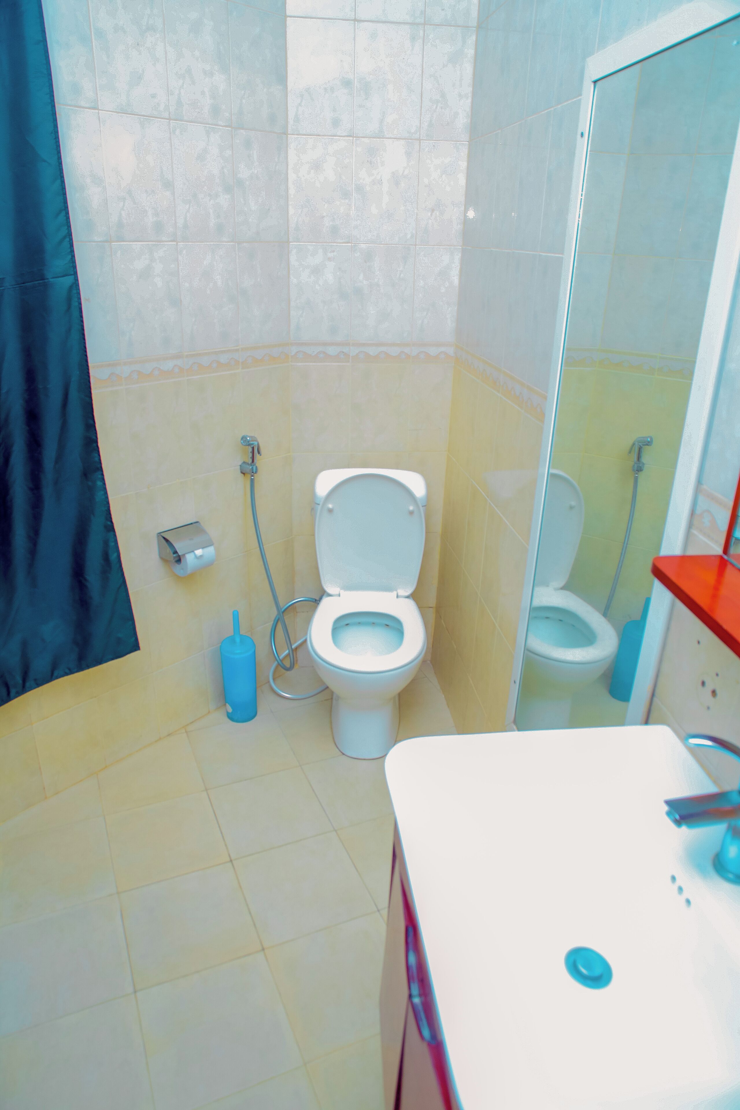 A bathroom with a toilet, bidet, and shower.