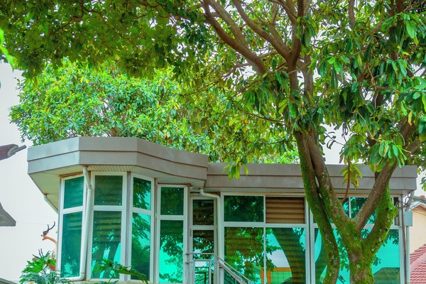 Aire de jeux - extérieure