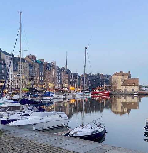 Appartement cosy , au coeur de la ville , proche parking,  port,  jardin public