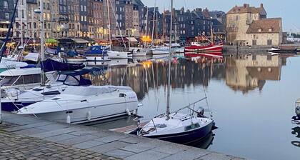 Appartement cosy , au coeur de la ville , proche parking, port, jardin public