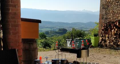 Alpagas Du Domaine Mael