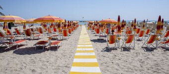 ดอลเชมาเร