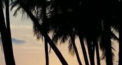 104 - Ocean View - La Mer Beach House
