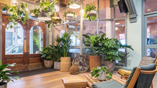 Een gezellig interieur met houten vloeren, een bankje en diverse potplanten.