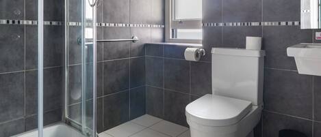 Une salle de bain moderne avec une douche à parois de verre, des toilettes et un lavabo.