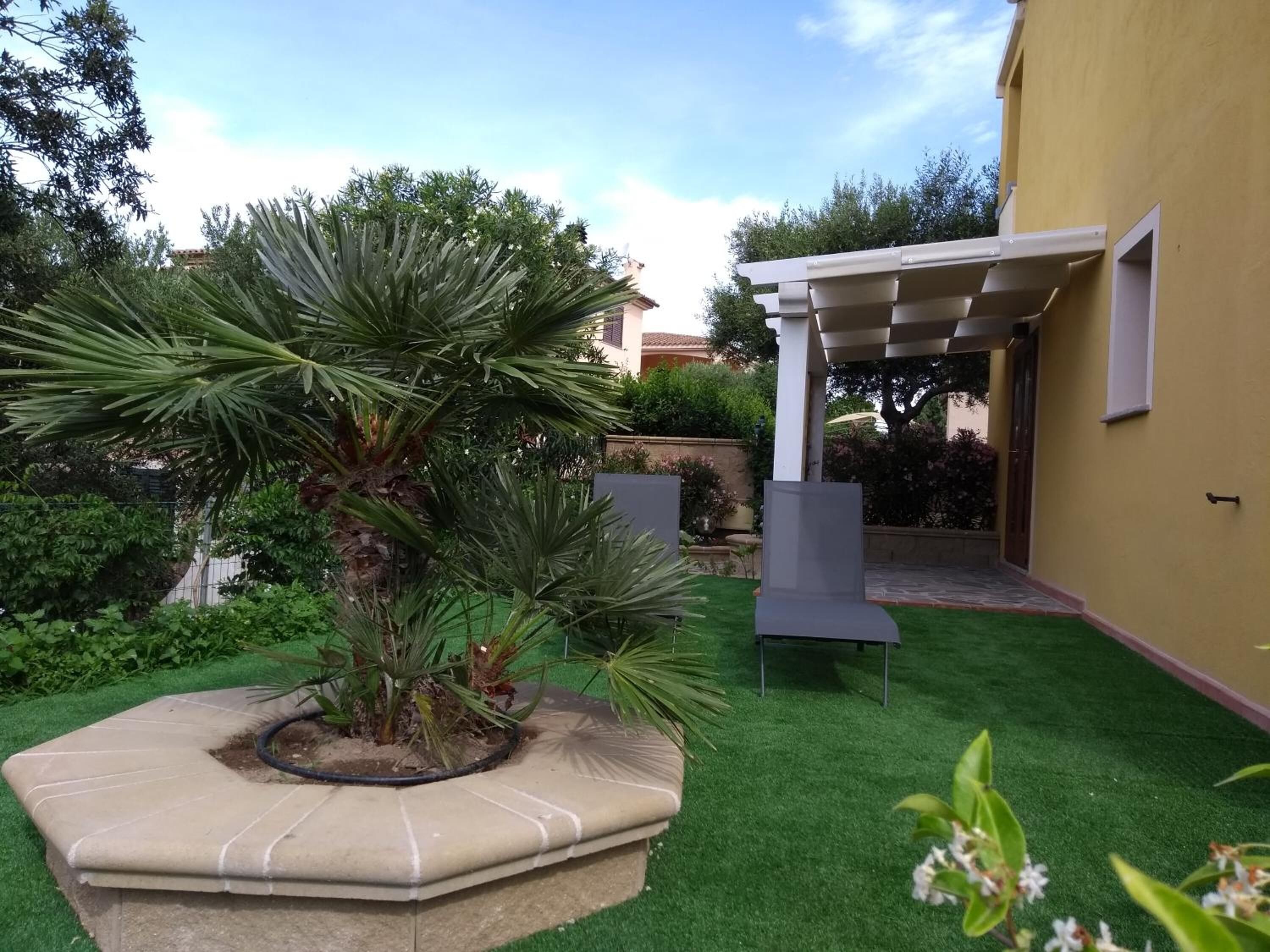 A landscaped garden with a palm tree, a concrete planter, and a pergola structure.