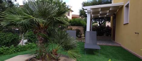 A landscaped garden with a palm tree, a concrete planter, and a pergola structure.