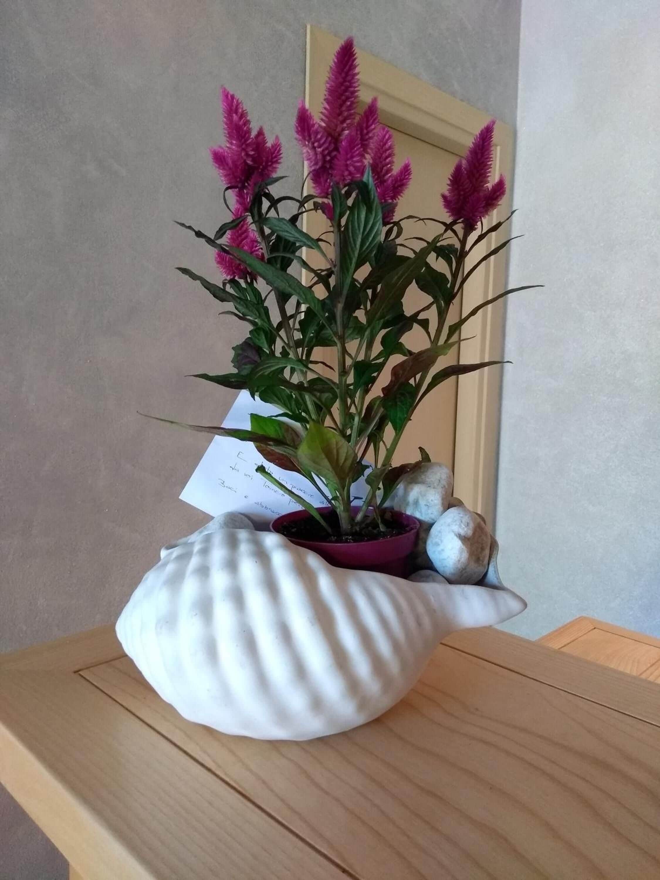 Foto - Hotel Lu Pitrali