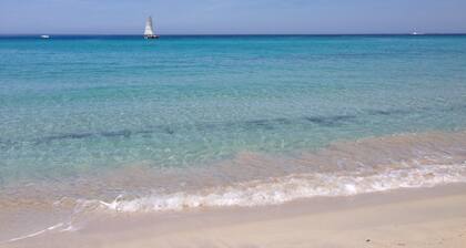 MOR308-T2 St-Florent neuf accès privé plage 100m