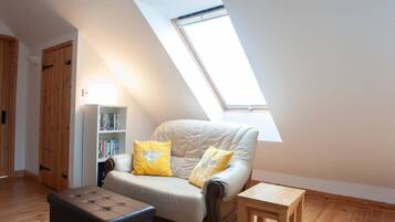 TV, fireplace, DVD player