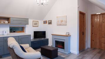 Télévision, cheminée, lecteur de DVD