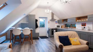 Télévision, cheminée, lecteur de DVD