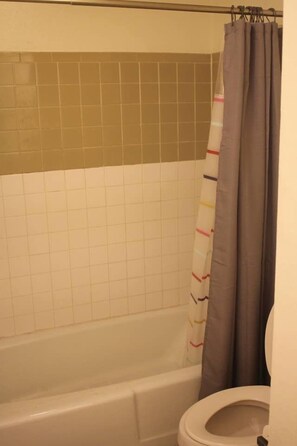 A bathroom with a bathtub, a toilet, and a shower curtain.