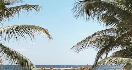 Cabañas Ecoturisticas Costa Maya