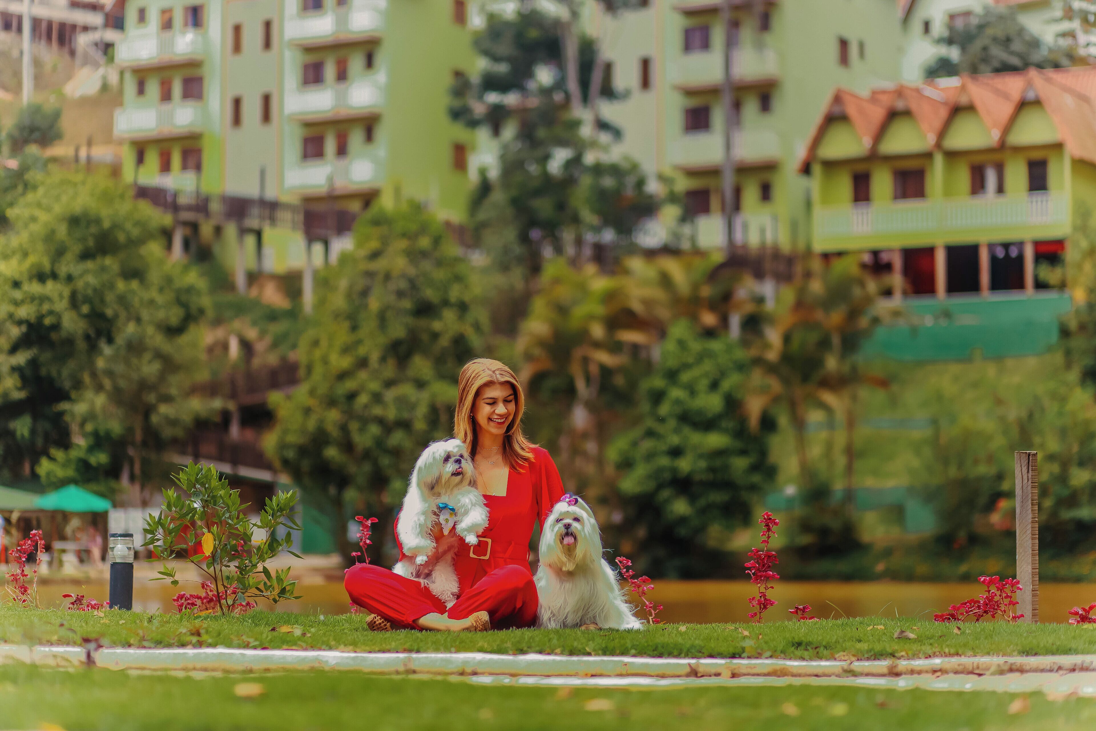 A person sitting on grass with three dogs in a park with buildings in the background.