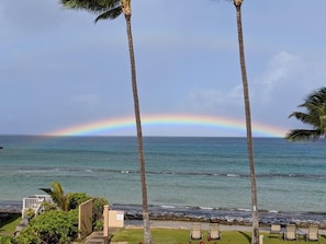 Blick auf einen Strand mit Palmen und einem Regenbogen über dem Ozean.