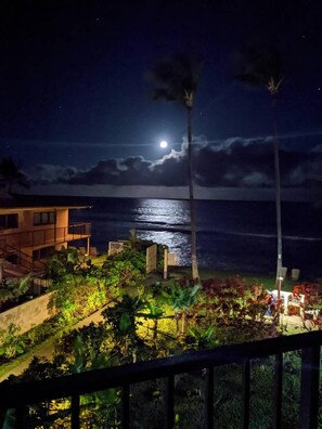 A night view of a coastal property with a balcony overlooking the sea, palm trees, and a moonlit sky.