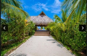 A pathway leading to a thatched-roof structure surrounded by lush greenery. - Paradise in Coral View Roatan (Roatan)