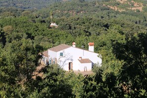 Exterior - Casas Rurales Finca El Pozuelo (Jabugo)