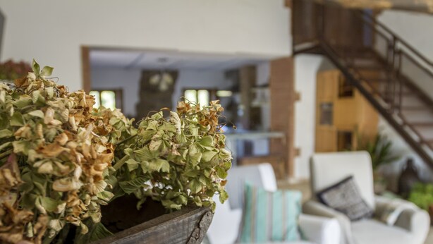 Interior detail - Casas Rurales Finca El Pozuelo (Jabugo)